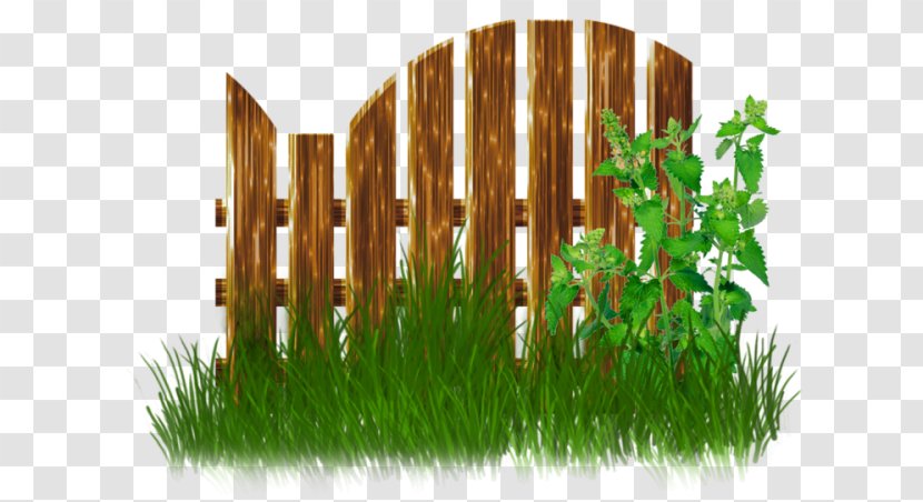 Fence Garden Gate Clip Art - Grass Family Transparent PNG