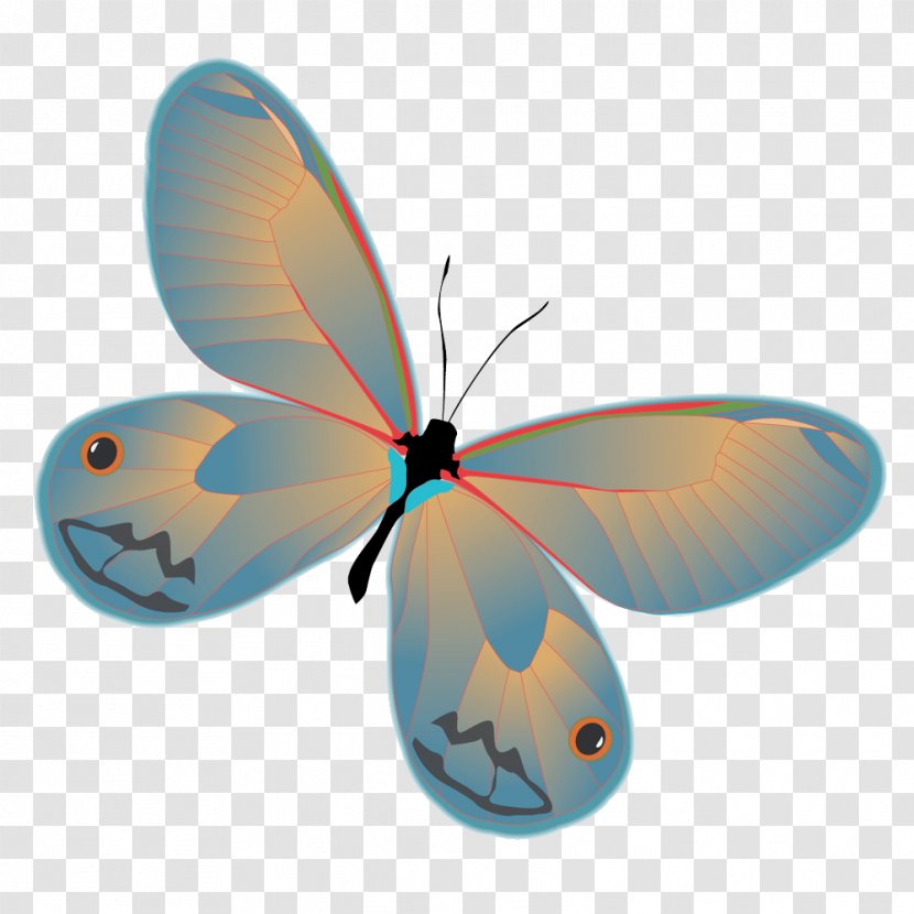 Butterfly Cartoon Clip Art - Invertebrate Transparent PNG