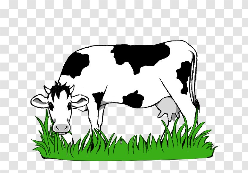 Dairy Cattle Kereman Ox Texas Longhorn Clip Art - Like Mammal - Pasture Clipart Transparent PNG