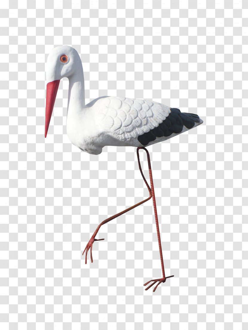Bird White Stork Crane Transparent PNG
