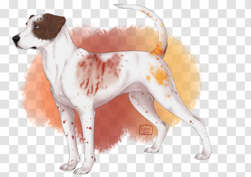 English Foxhound Dog Breed American Harrier Treeing Walker Coonhound - Mean Transparent PNG