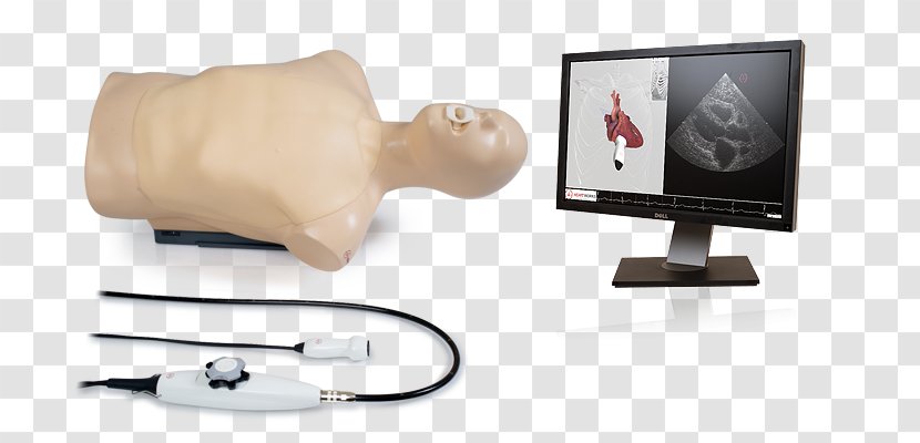 Echocardiography Transesophageal Echocardiogram Ultrasonography Simulation Medicine - Perioperative - Heart Transparent PNG
