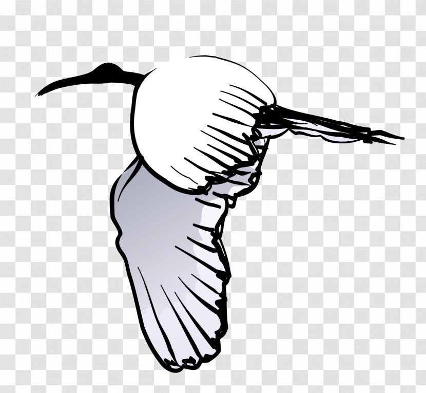 Bird Crane Swan Goose - Fly Vector Material Transparent PNG