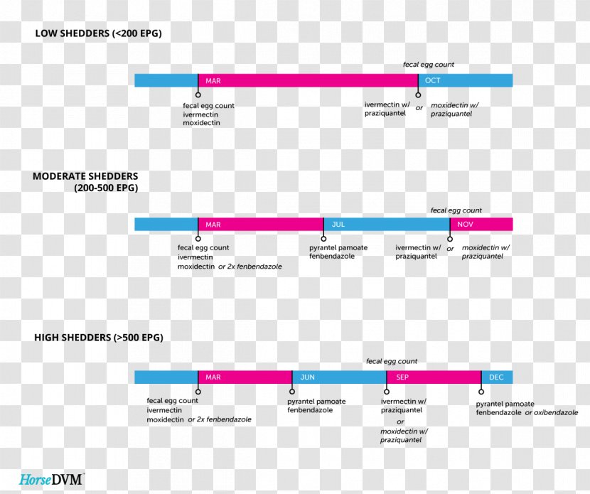 Computer Software Program Paper Operating Systems - Schedule Transparent PNG