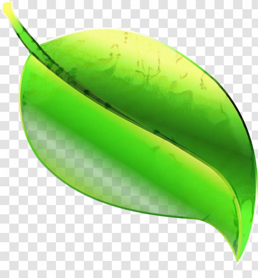 Green Leaf Background - Educational Institution - Plant Transparent PNG