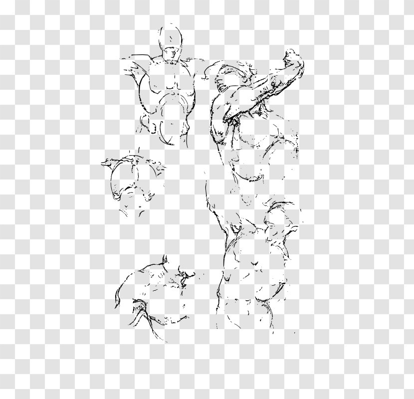 Constructive Anatomy Mammal Figure Drawing - Cartoon Transparent PNG