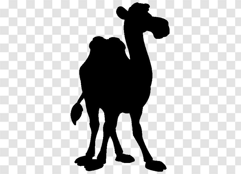 Dromedary Clip Art Bactrian Camel Pack Animal Silhouette - Wildlife - Arabian Transparent PNG