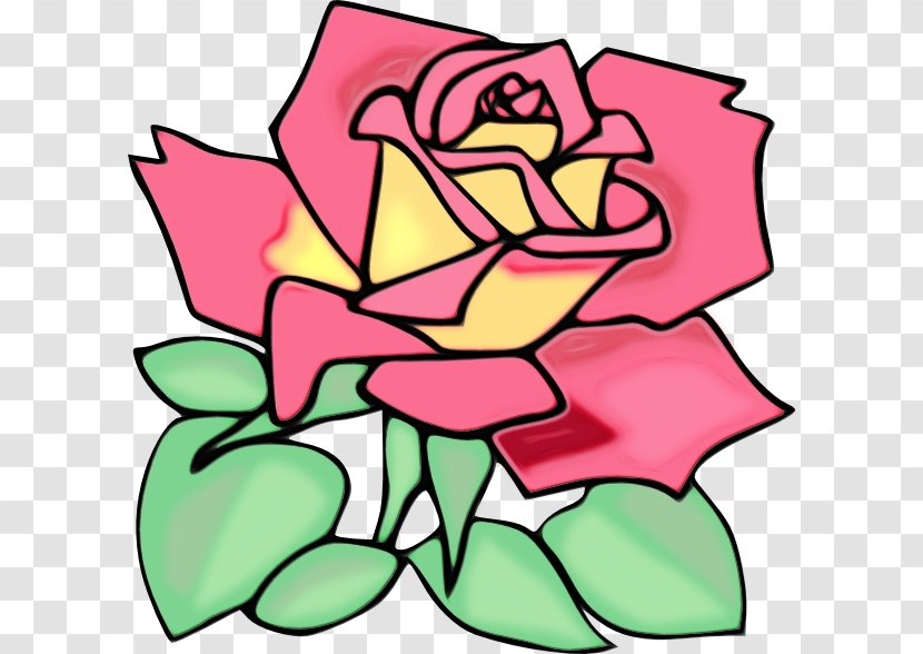 Flower Line Art - Garden Roses - Rose Order Magenta Transparent PNG