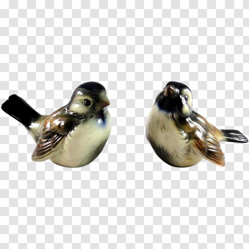 Duck Water Bird Goose Cygnini - Sparrow Transparent PNG