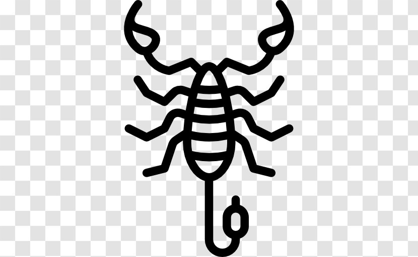 Scorpion Insect Drawing Clip Art - Invertebrate Transparent PNG