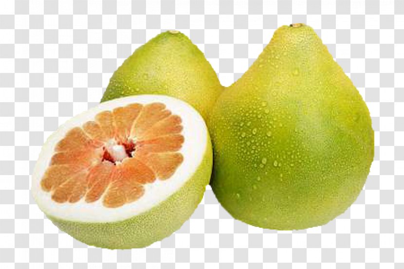 Pomelo Tropical Fruit Citrus × Sinensis - Tangelo - Pamela Transparent PNG
