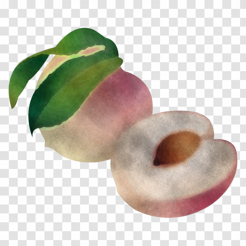 Plant Food Fruit Doughnut Transparent PNG