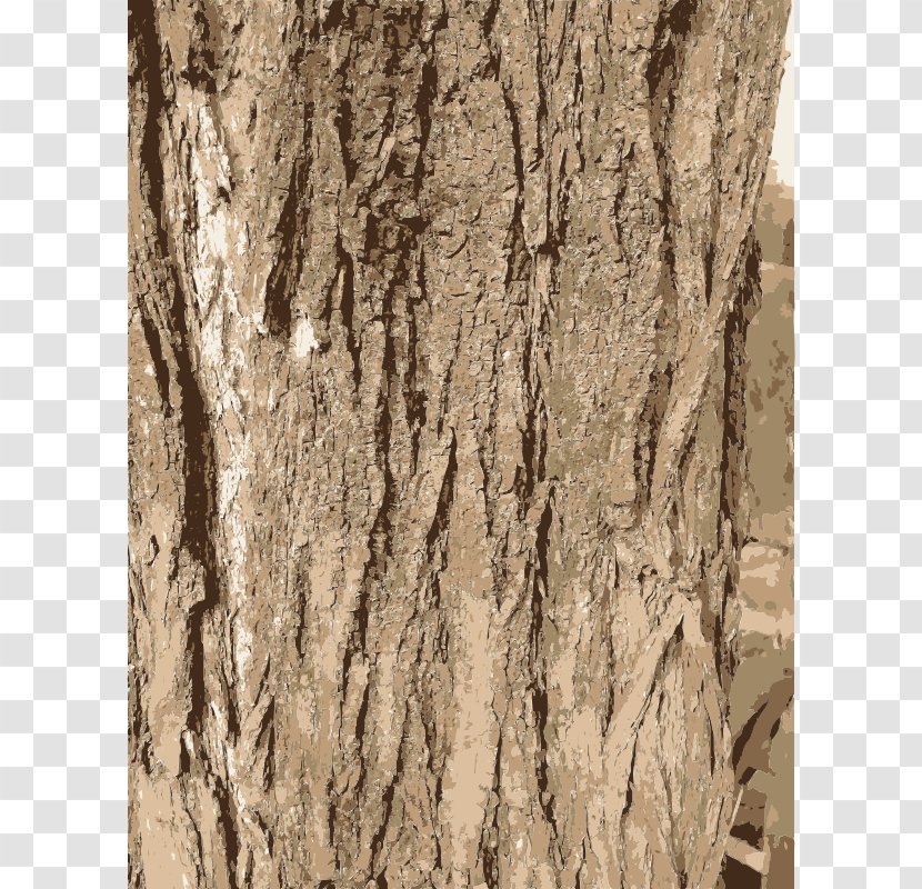 Bark Tree Clip Art - Wood Grain - Cliparts Transparent PNG