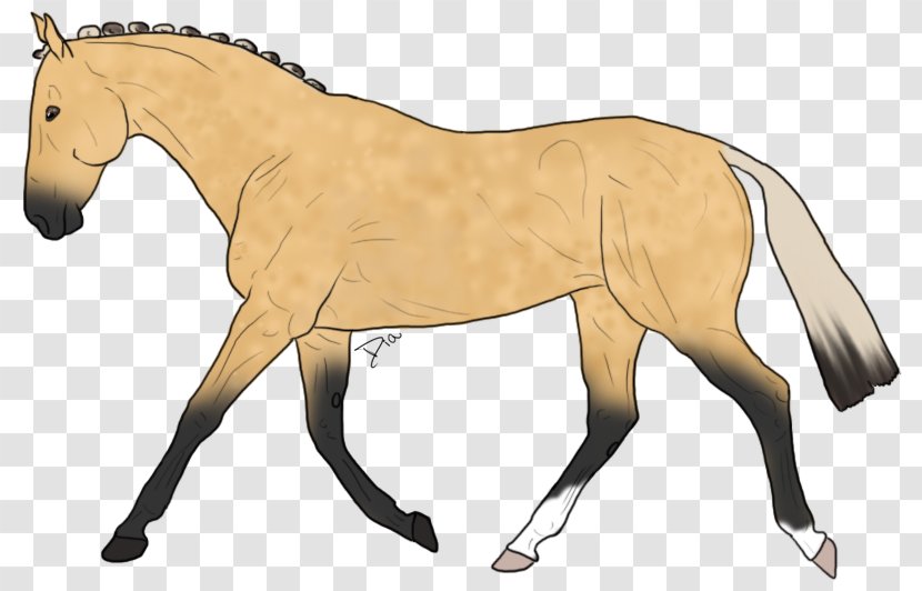 Mule Foal Stallion Mare Colt - Rein - Mustang Transparent PNG