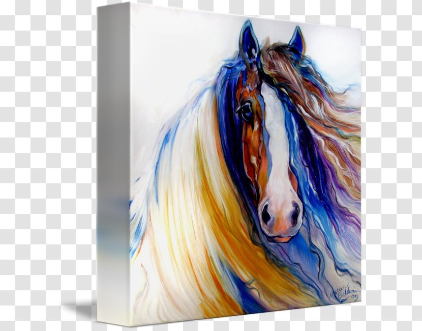 Gypsy Horse Oil Painting Canvas Print - Watercolor Paint Transparent PNG