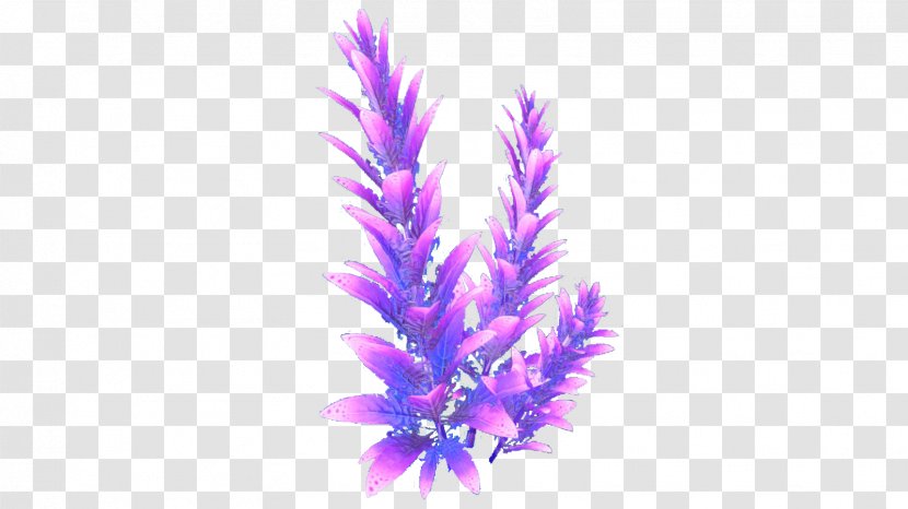 Subnautica Violet Wiki Flora - Wikia - Lavender Transparent PNG