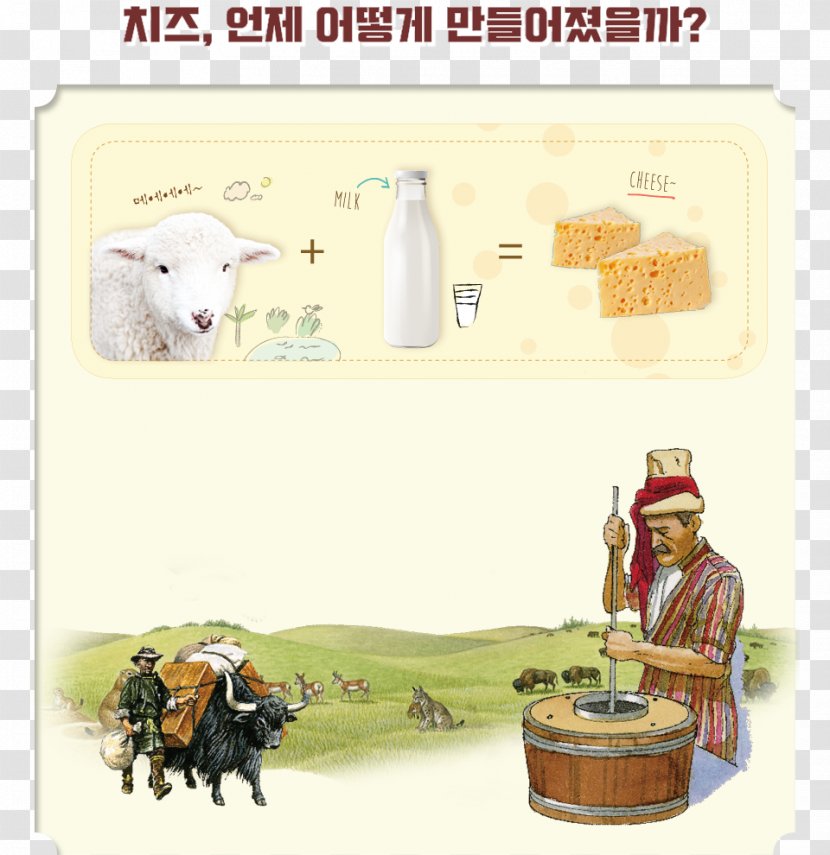 Home Accessories 신세계그룹 Cattle - Food - PICOCK Transparent PNG