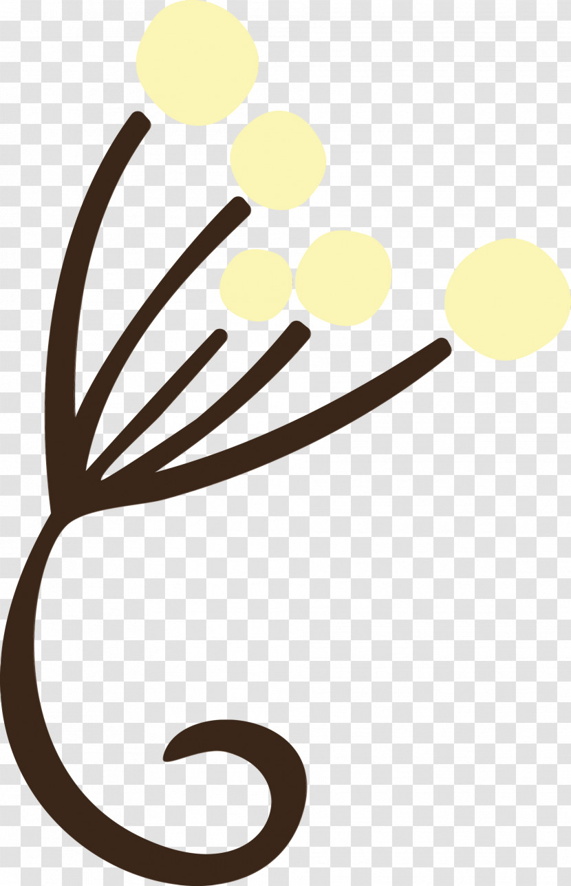 Leaf Yellow Line Meter Plant Structure Transparent PNG