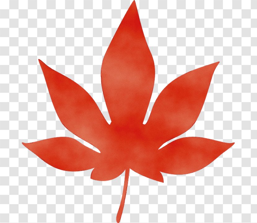 Leaf Red Petal Plant Flower - Flowering Transparent PNG