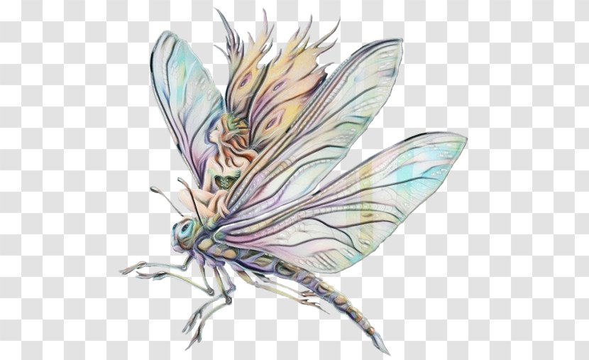 Picsart Background - Fairy - Dragonflies And Damseflies Blowflies Transparent PNG