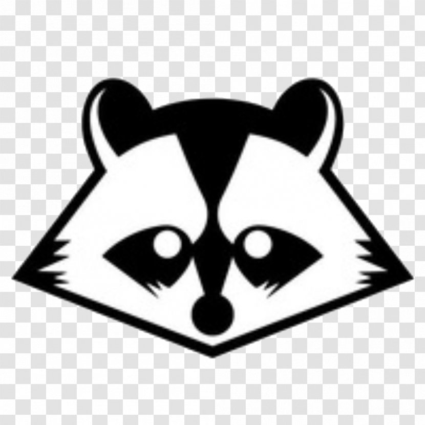 Raccoons YouTube Giant Panda White Website - Mammal - Youtube Transparent PNG