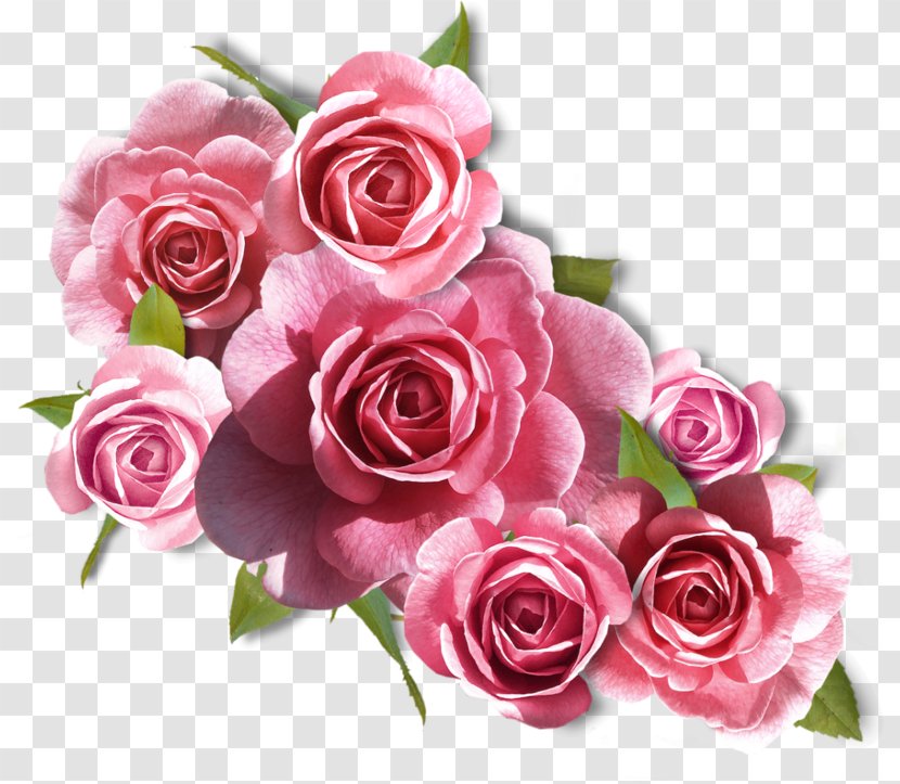 Flower Bouquet Rose Pink - Blue - Watercolor Transparent PNG