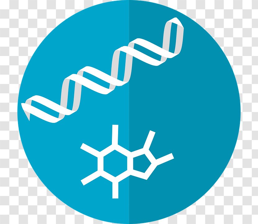 Metabolomics Metabolism Metabolome TCG BDC - Metabolic Syndrome Transparent PNG