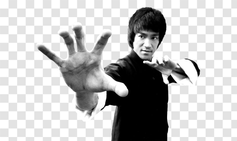 The Legend Of Bruce Lee ASICS Onitsuka Tiger Clothing - Aggression Transparent PNG