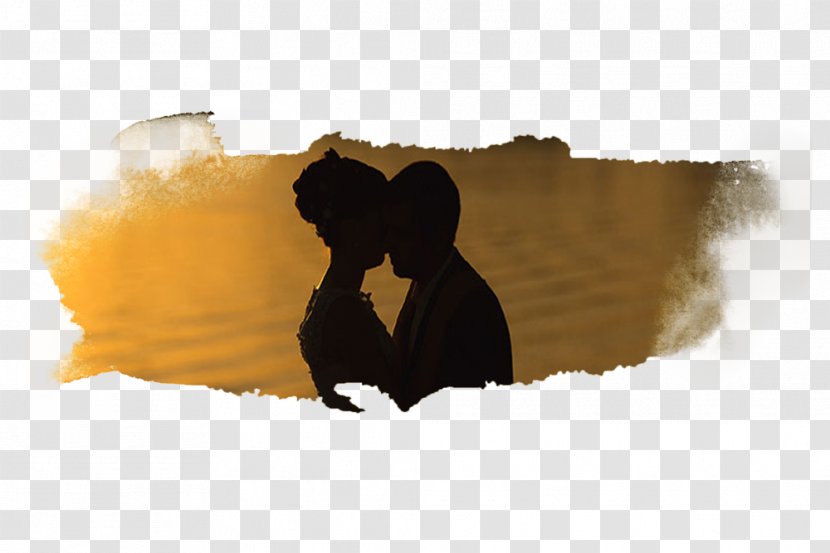 Desktop Wallpaper Silhouette Computer - Romantic Valentines Day Transparent PNG