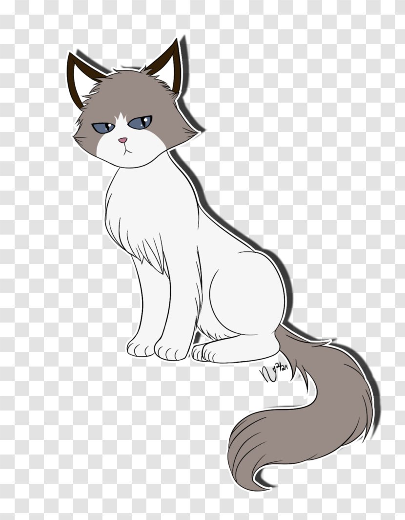 Whiskers Kitten Red Fox Cat Dog - Canidae Transparent PNG