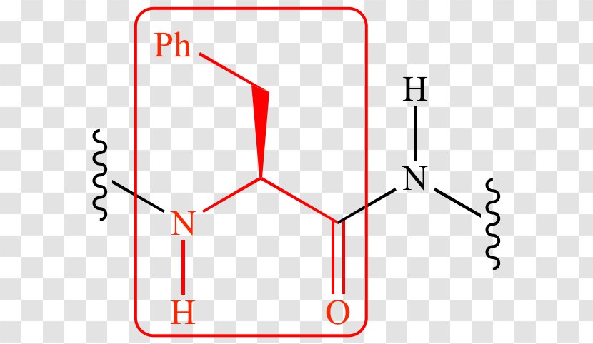 Serine Protease Chymotrypsin Peptide Bond - Organic Chemistry Transparent PNG
