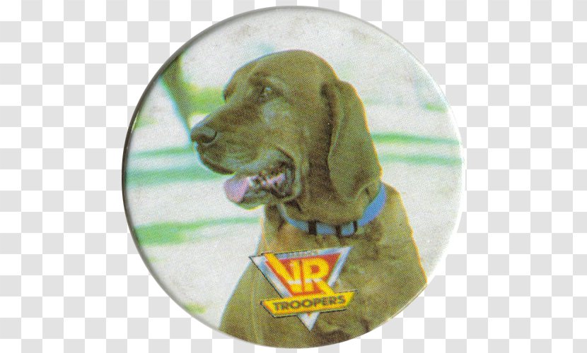 Redbone Coonhound Weimaraner Vizsla Dog Breed Children's Television Series - Mexican Taco Bell Number One Transparent PNG