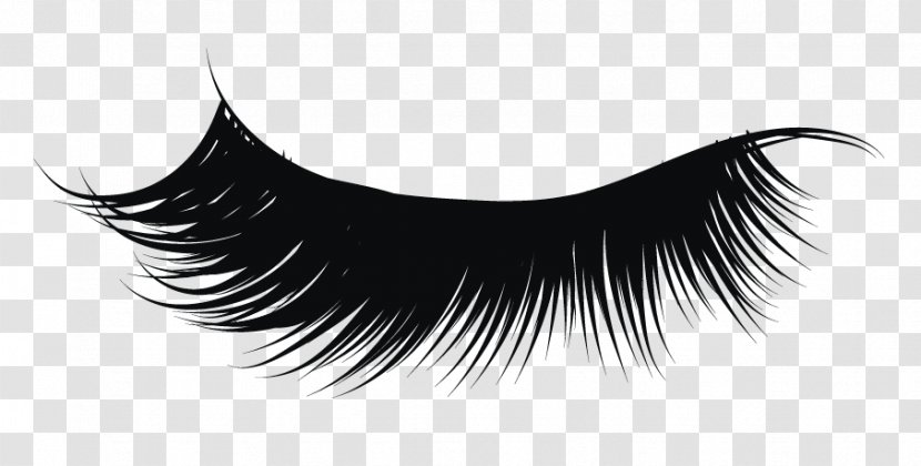 Clip Art Eyelash Extensions Image - Beauty - Eye Transparent PNG