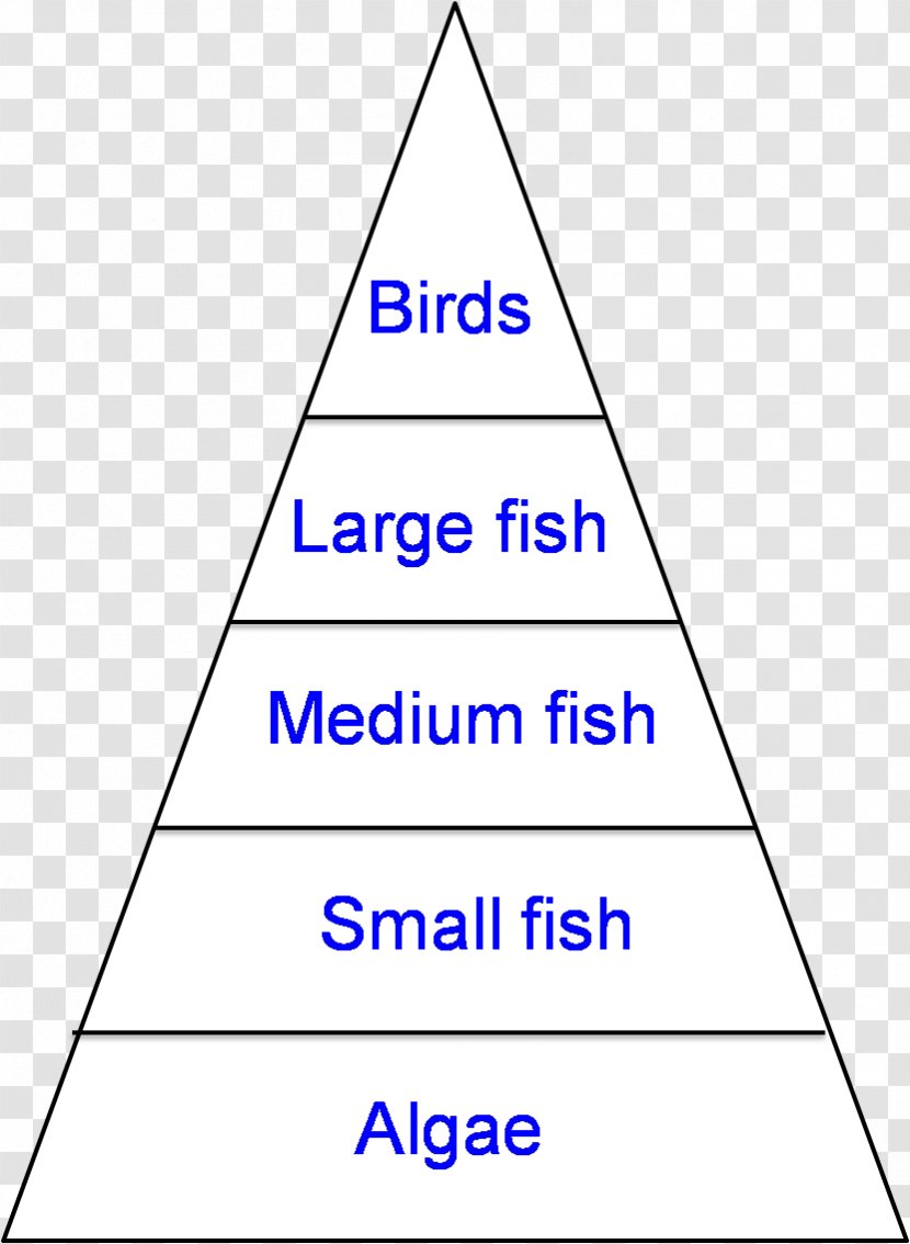 Pond Ecological Pyramid Food Web Chain Ecosystem - Parallel - Energy Transparent PNG