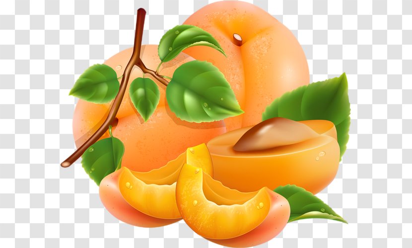 Peach Apricot - Orange Transparent PNG