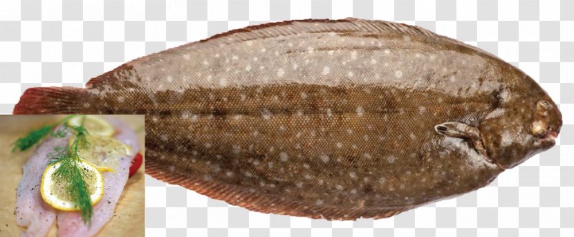 Fish Products Tilapia Transparent PNG