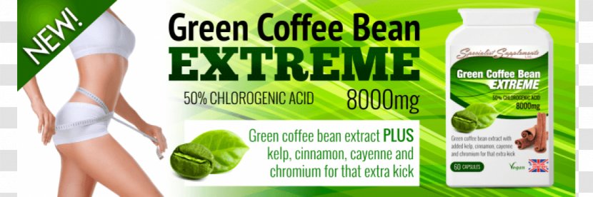 Green Coffee Extract Bean Tea Web Banner - Herb Transparent PNG