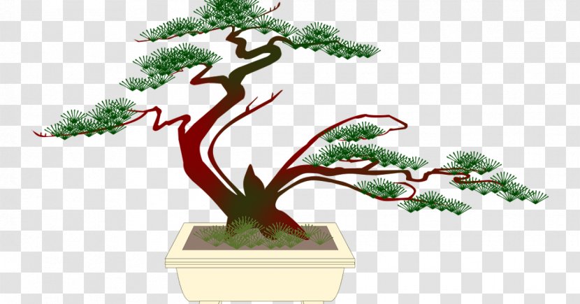 Popular Bonsai Clip Art Tree Image - Plants Transparent PNG