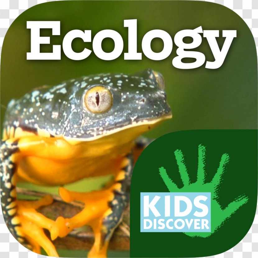 Kids Discover Amazing Adaptations Tree Frog Natural Environment Ecology - App Store - Infographic Transparent PNG