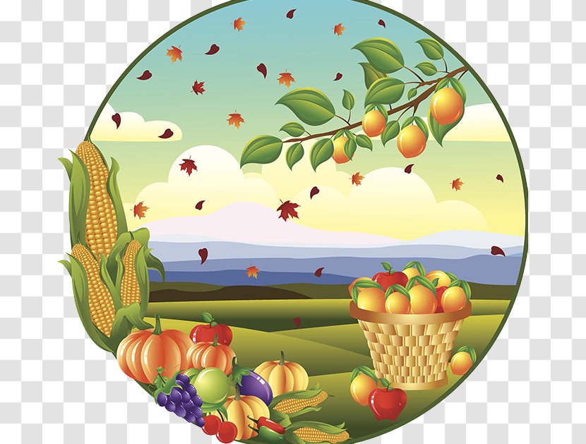 Autumn Drawing Harvest Illustration - Fruit Transparent PNG