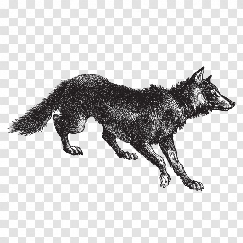 Wolf's Ridge Brewing Beer Eurasian Wolf Drawing Brewery Transparent PNG