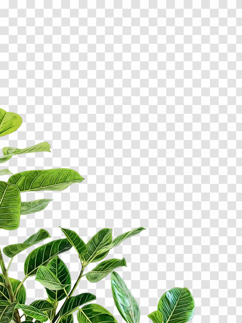 Web Design Transparent PNG