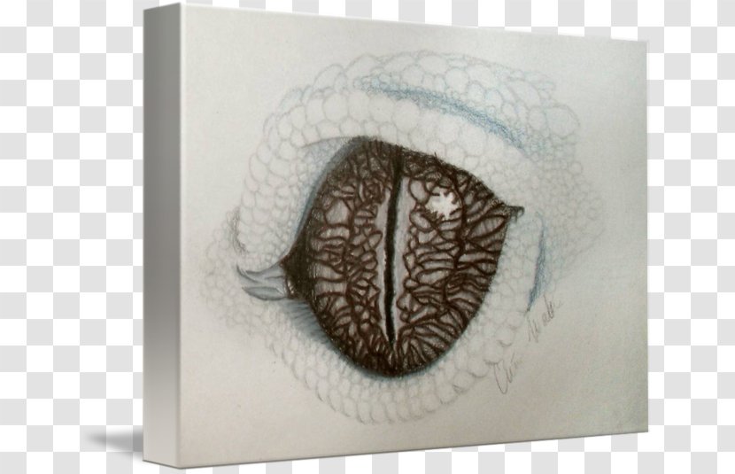 Common Leopard Gecko Gallery Wrap Drawing Canvas - Eye Transparent PNG