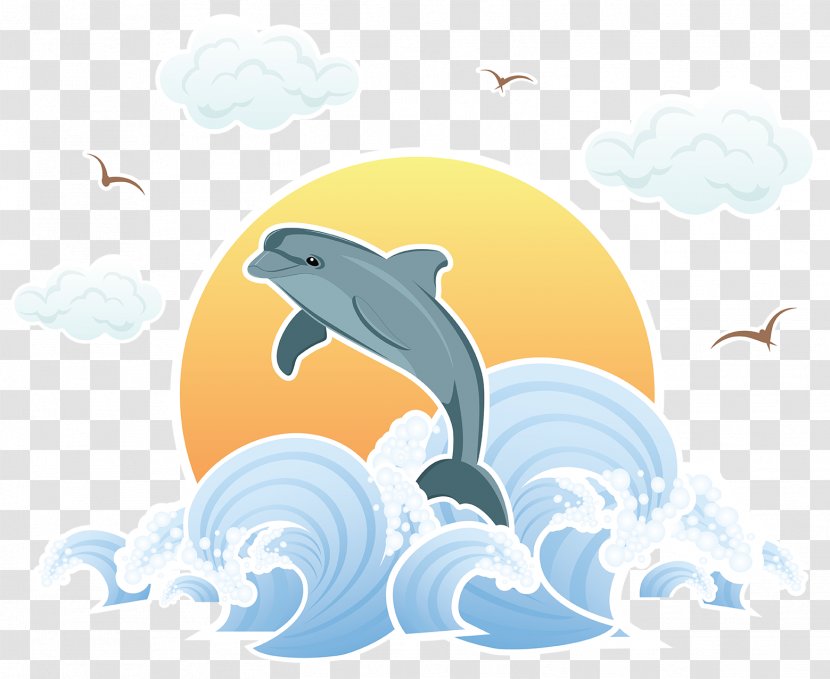 Dolphin U5357u4eacu6d77u5e95u4e16u754c Cartoon Illustration - Marine Mammal - Fish Transparent PNG