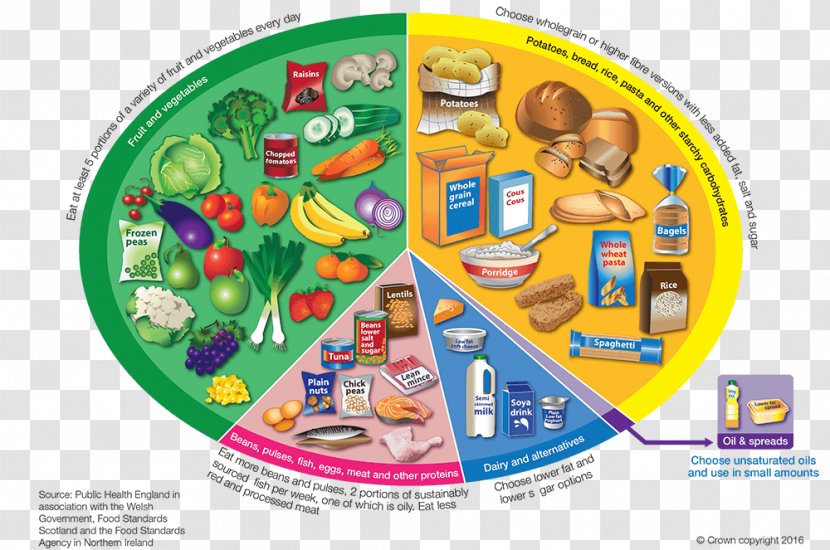 Eatwell Plate Healthy Diet Food Eating - Recreation Transparent PNG