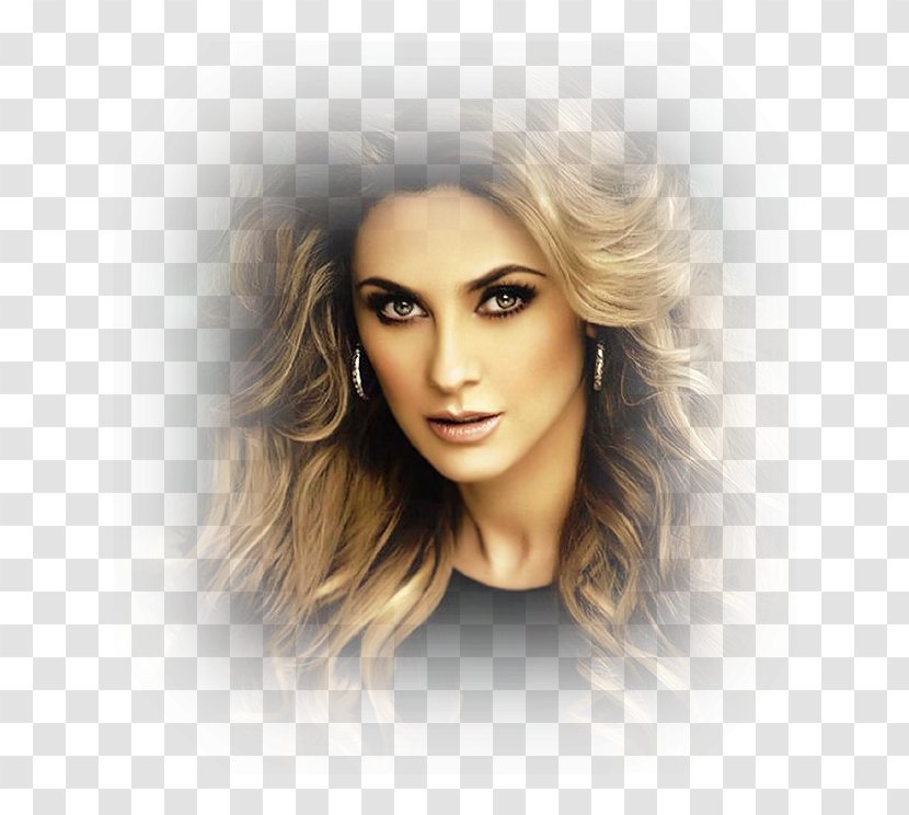 Aracely Arámbula Actor Televisa Los Miserables - Broadcasting Transparent PNG