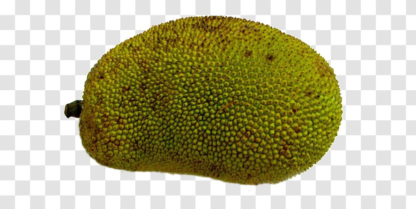 Cempedak Jackfruit - Fresh Pineapple Transparent PNG