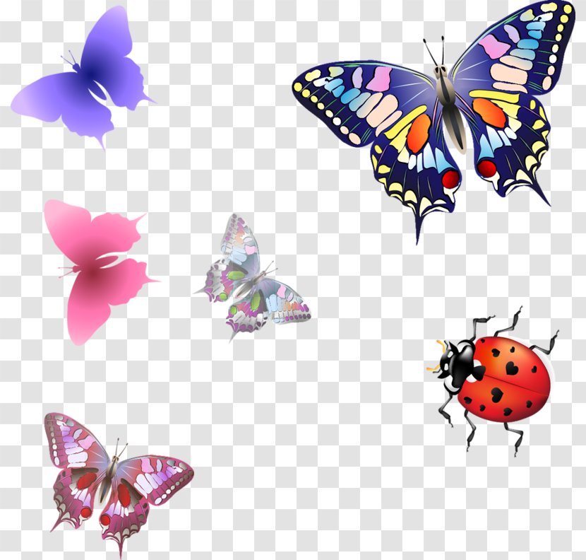 Butterfly Nymphalidae Clip Art - Fundal Transparent PNG