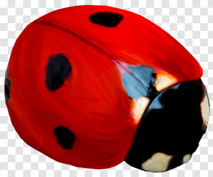 Ladybird Beetle Image Poster JPEG - Invertebrate - Ladybug Pupa Transparent PNG