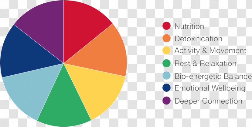 Pie Chart Nutrition Nutrient Healthy Diet - Anger Transparent PNG